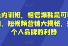 流量内训班,相信爆款是可以重复的,短视频营销大揭秘,打造个人品牌的利器-蜗牛学社