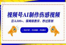 视频号AI制作伤感视频,日入500+,保姆级教学-蜗牛学社