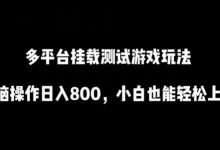 多平台挂载测试游戏玩法,无脑操作日入800,小白也能轻松上手-蜗牛学社