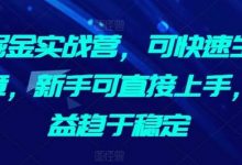 AI掘金实战营，可快速生成文章，新手可直接上手，收益趋于稳定-蜗牛学社