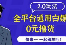 外面收费2980的全平台通用撸货项目2.0玩法-蜗牛学社