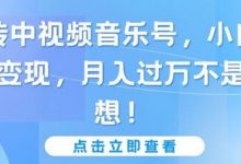 玩转中视频音乐号,小白副业变现,月入过万不是幻想-蜗牛学社