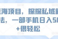 蓝海项目,探探私域新玩法,一部手机日入500+很轻松-蜗牛学社