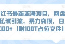 小红书最新蓝海项目,网盘扩容私域引流,暴力变现,日入1000+(附100T占位文件)-蜗牛学社