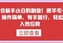 最适合新手小白的副业!薅羊毛+躺赚,操作简单,有手就行,轻松日入四位数-蜗牛学社