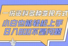一份资料多种变现方式,小白也能轻松上手,日入800不是问题-蜗牛学社