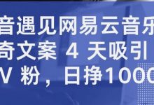 抖音遇见网易云音乐,新奇文案 4 天吸引 5W 粉,日挣1000+-蜗牛学社
