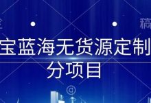 淘宝蓝海无货源定制细分项目,从0到起店实操全流程-蜗牛学社