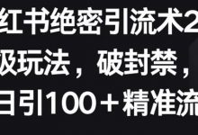 小红书绝密引流术2.0升级玩法,破封禁,轻松日引100+精准流量-蜗牛学社