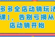 拼多多全店动销玩法【新课】,告别亏损从全店动销开始-蜗牛学社