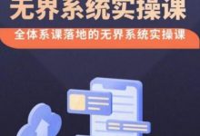 无界系统实操课【38节完整版】,全体系落地无界改版后选择、出价、高投产做付费引流-蜗牛学社