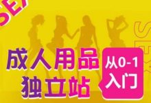 成人用品独立站从0-1入门,成品独立站运营全流程教学,七大好卖成品独立站推荐-蜗牛学社