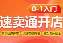 速卖通开店0-1入门,新手快速开店 找准商机市场 成功海外掘金-蜗牛学社