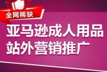 亚马逊成人用品站外营销推广,成人用品新品推广方案,助力打造类目爆款-蜗牛学社