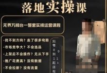 老肥电商·2024淘系运营从0-1落地实操课,无界万相台一整套实操运营课程-蜗牛学社