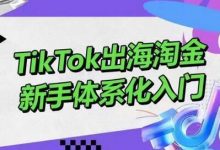 TikTok出海淘金,新手体系化入门,零基础快速入门,掌握短视频、直播带货等引流到变现的知识-蜗牛学社