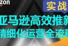 亚马逊高效推新精细化运营全流程,全方位、快速拉升产品排名和销量!-蜗牛学社
