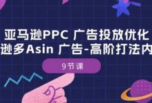 亚马逊PPC 广告投放优化:亚马逊多Asin 广告-高阶打法内训班-9节课-蜗牛学社