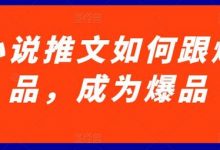 小说推文如何跟爆品，成为爆品-蜗牛学社