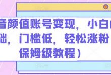 抖音颜值账号变现,小白0基础,门槛低,轻松涨粉(保姆级教程)-蜗牛学社