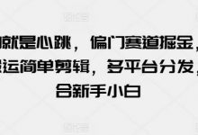 玩的就是心跳,偏门赛道掘金,视频搬运简单剪辑,多平台分发,适合新手小白-蜗牛学社