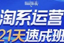 淘系运营21天速成班(更新24年5月),0基础轻松搞定淘系运营,不做假把式-蜗牛学社