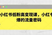 小红书低粉高变现课,小红书必爆的流量密码-蜗牛学社