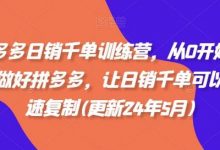 拼多多日销千单训练营,从0开始带你做好拼多多,让日销千单可以快速复制(更新24年5月)-蜗牛学社