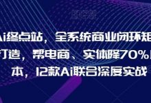 Ai终点站,全系统商业闭环矩阵打造,帮电商、实体降70%成本,12款Ai联合深度实战-蜗牛学社