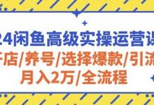 2024闲鱼高级实操运营课程:开店/养号/选择爆款/引流/月入2万/全流程-蜗牛学社