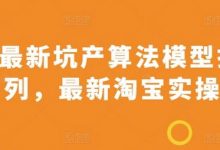 最新坑产算法模型打款玩法系列，最新淘宝实操玩法-蜗牛学社