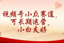 视频号小众赛道,可长期运营,小白友好-蜗牛学社