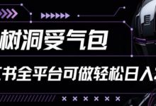小红书等全平台树洞受气包项目,轻松日入一两张-蜗牛学社