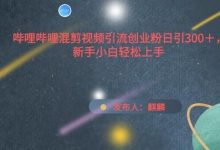 哔哩哔哩混剪视频引流创业粉日引300+,新手小白轻松上手-蜗牛学社