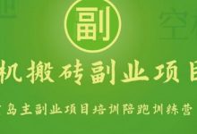 手机搬砖小副业项目训练营1.0,实测1小时收益50+,一部手机轻松日入100+-蜗牛学社