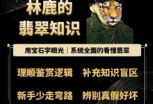 林鹿的翡翠知识，​用宝石眼光，系统全面的看懂翡翠-蜗牛学社