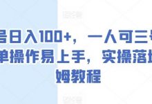 单号日入100+,一人可三号,简单操作易上手,实操落地保姆教程-蜗牛学社
