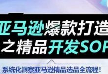 【训练营】亚马逊爆款打造之精品开发SOP,系统化洞察亚马逊精品选品全流程-蜗牛学社