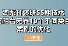淘系打爆班55期技术:万相台无界10个不同类目案例的优化(10节)-蜗牛学社