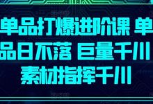 单品打爆进阶课 单品日不落 巨量千川 素材指挥千川-蜗牛学社