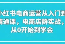小红书电商运营从入门到精通课,电商店群实战,从0开始到学会-蜗牛学社