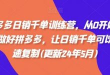 拼多多日销千单训练营,从0开始带你做好拼多多,让日销千单可以快速复制(更新24年6月)-蜗牛学社