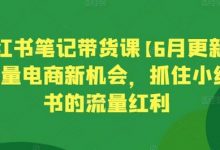 小红书笔记带货课【6月更新】流量电商新机会,抓住小红书的流量红利-蜗牛学社
