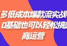 拼多多低成本爆款流实战私教课,0基础也可以轻松搞定电商运营-蜗牛学社