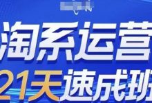 淘系运营21天速成班(更新24年6月),0基础轻松搞定淘系运营,不做假把式-蜗牛学社