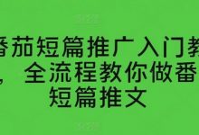 番茄短篇推广入门教学，全流程教你做番茄短篇推文-蜗牛学社