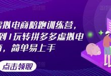 拼多多虚拟电商陪跑训练营,教你从0到1玩转拼多多虚拟电商,简单易上手-蜗牛学社