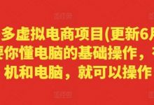 拼多多虚拟电商项目(更新6月),只要你懂电脑的基础操作,有手机和电脑,就可以操作-蜗牛学社