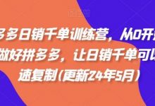 拼多多日销千单训练营,从0开始带你做好拼多多,让日销千单可以快速复制(更新24年7月)-蜗牛学社