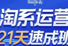 淘系运营21天速成班(更新24年7月),0基础轻松搞定淘系运营,不做假把式-蜗牛学社